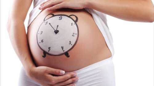 Как правильно считать срок беременности при ЭКО: когда наступает зачатие после переноса эмбрионов?