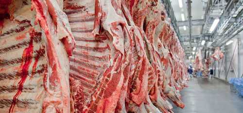 Особенности перевозки мяса и мясопродуктов